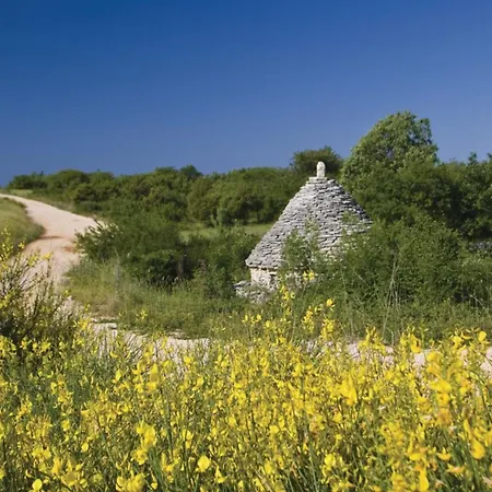 Vila Istra Gračišće