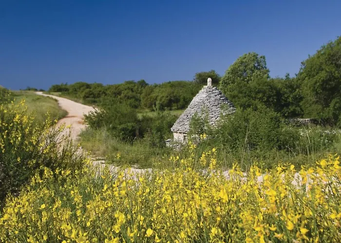 Villa Istra Gračišće